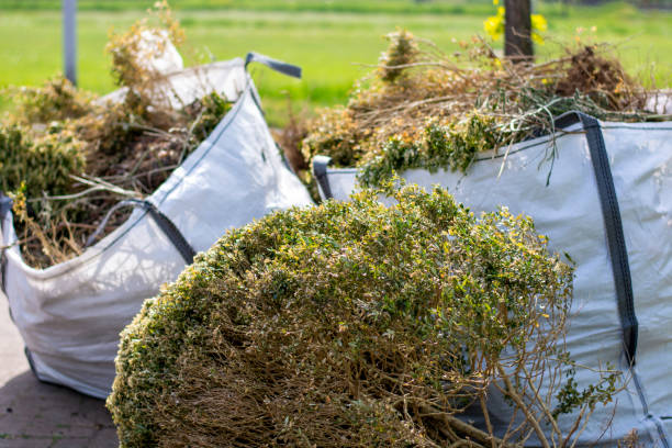 Best Professional Junk Removal  in Eagle Butte, SD